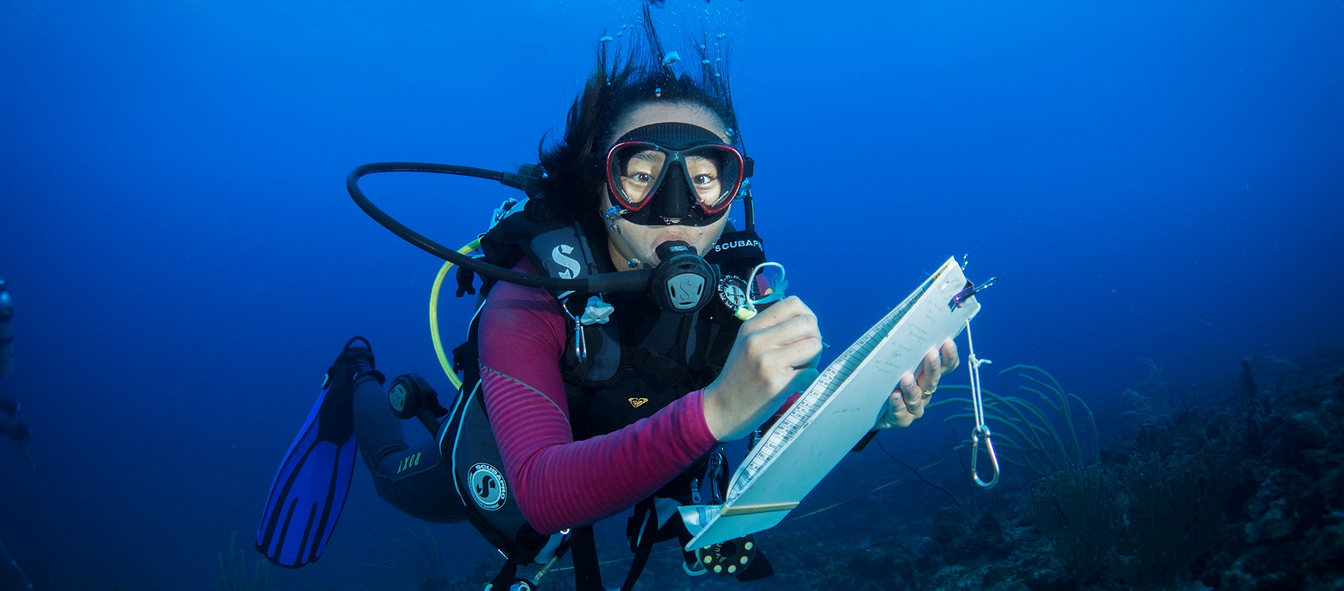 This is how Saba tries to make their vulnerable coral reef climate-proof