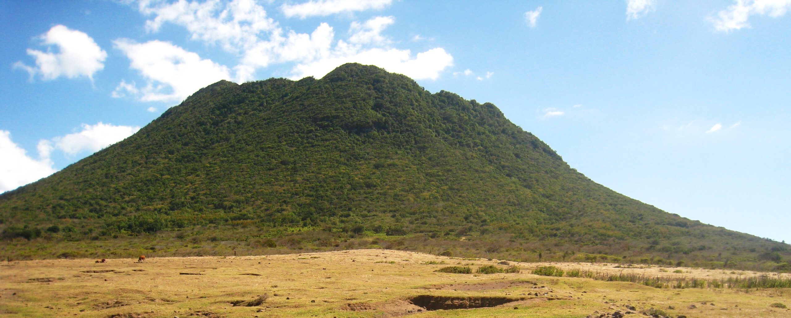 Drilling for rainwater to solve water shortage on Statia