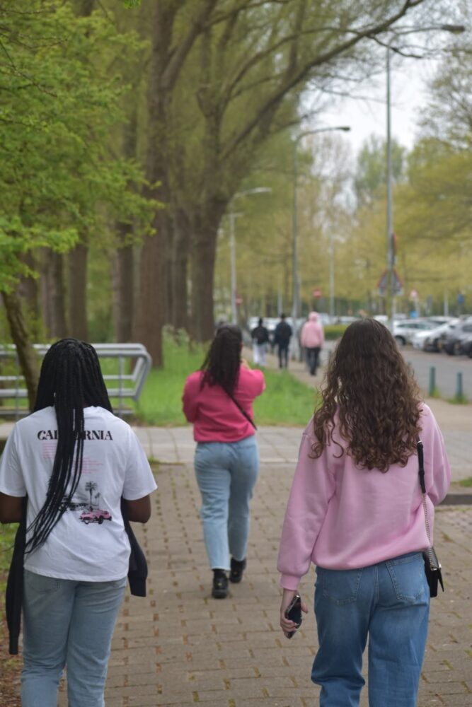 Not an easy road (2): ‘Glorification’ of the Netherlands could be a trap for students